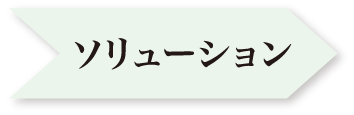 ソリューション